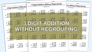 3 Digit Addition Without Regrouping