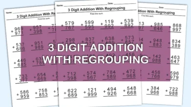 3 Digit Addition With Regrouping