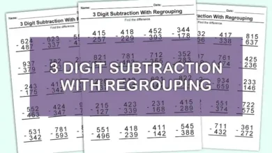 3 Digit Subtraction With Regrouping